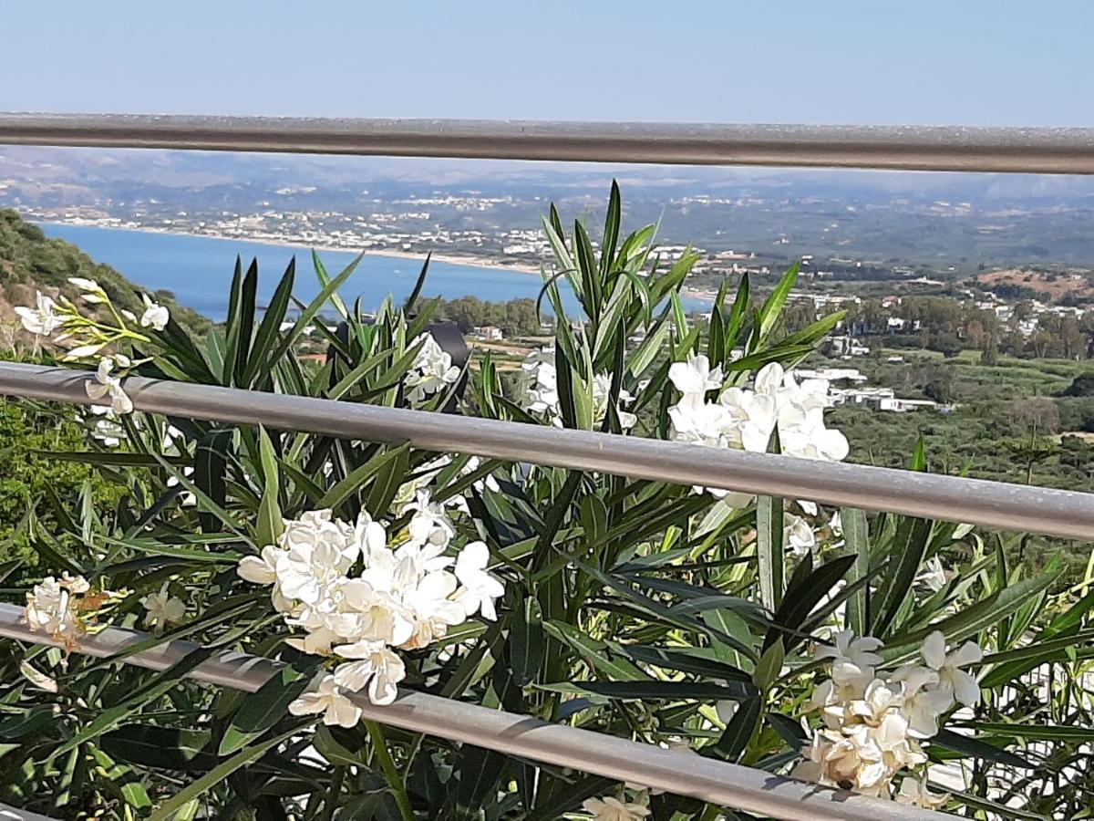 Aloe Villa Chania Crete 耶奥伊乌波利斯 外观 照片
