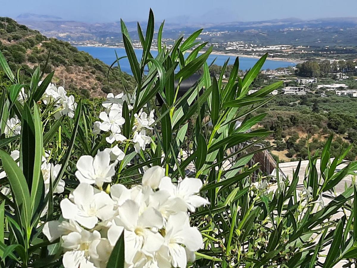 Aloe Villa Chania Crete 耶奥伊乌波利斯 外观 照片