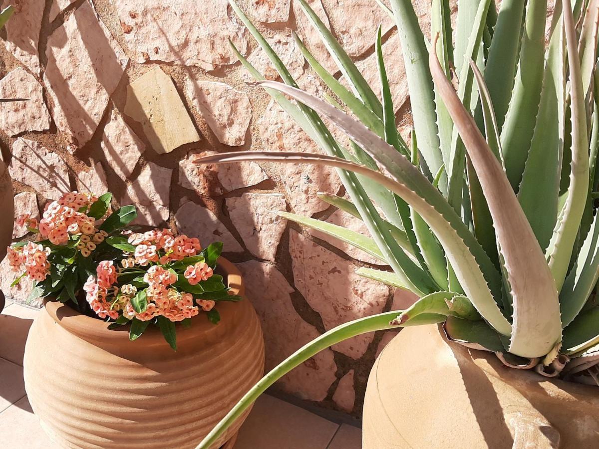 Aloe Villa Chania Crete 耶奥伊乌波利斯 外观 照片