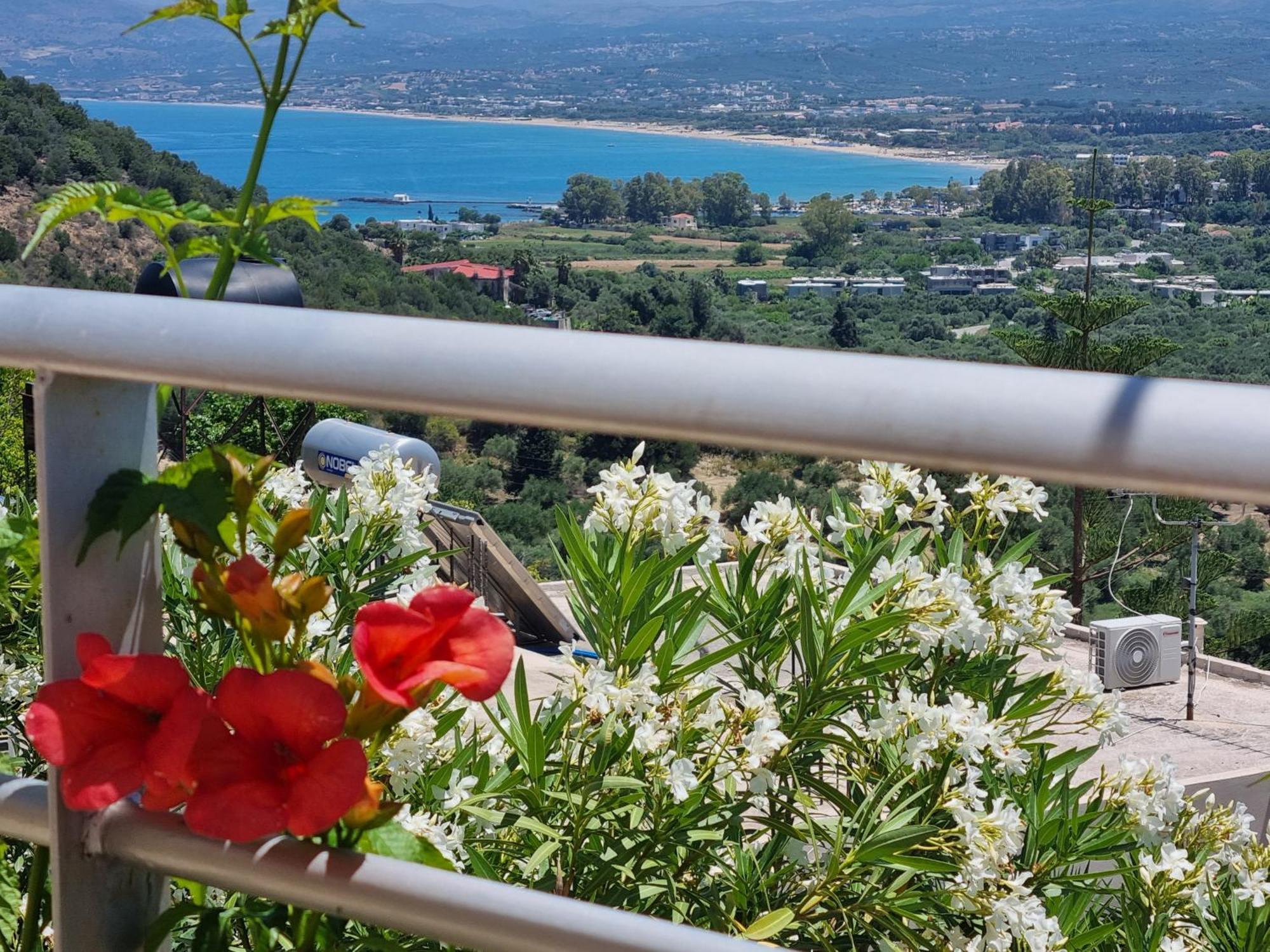 Aloe Villa Chania Crete 耶奥伊乌波利斯 外观 照片